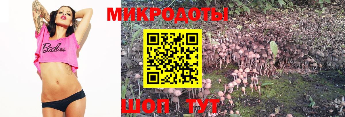 Псилоцибиновые грибы ЛСД Советский