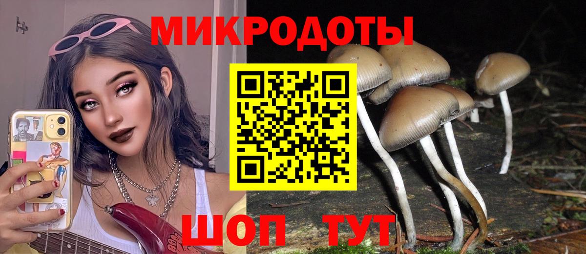 Псилоцибиновые грибы Cubensis  Вход с VPN  Советский 